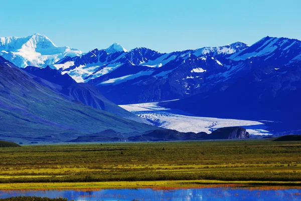 Landschaft auf der Denali Autobahn — Stockfoto