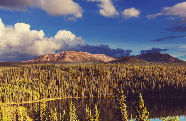 Serenidade Emerald Lake — Fotografia de Stock