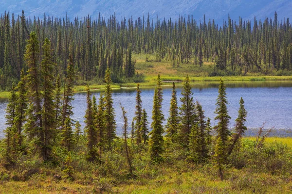 Lago da serenidade em tundra — Fotografia de Stock