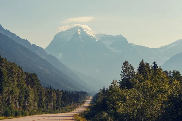 Τοπίο στην εθνική οδό Denali — Φωτογραφία Αρχείου