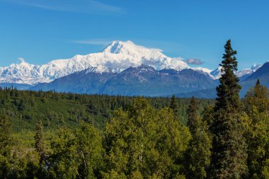 Denali (Mckinley) en yüksek