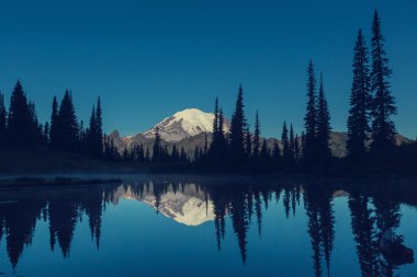 Mount rainier park