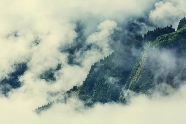 Dimma i bergen dal — Stockfoto