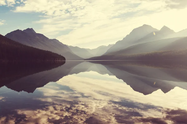 Bowman lake in Park — Stockfoto