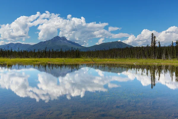 Lago di serenità nella tundra — Foto Stock