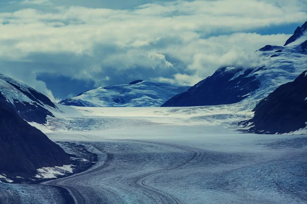 Salmon glacier in Stewart — Stock Photo, Image