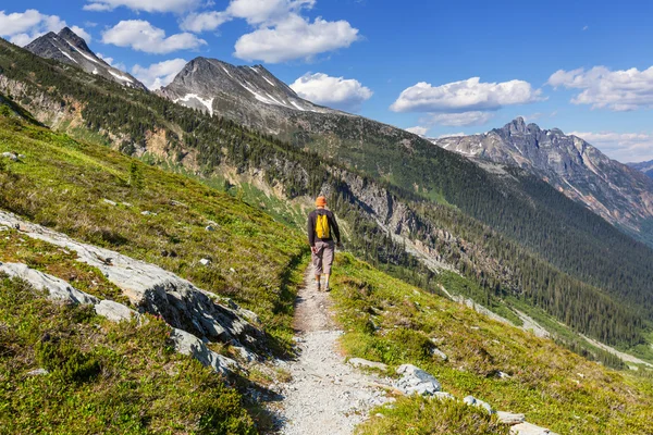 Dağlarda yürüyüş adam