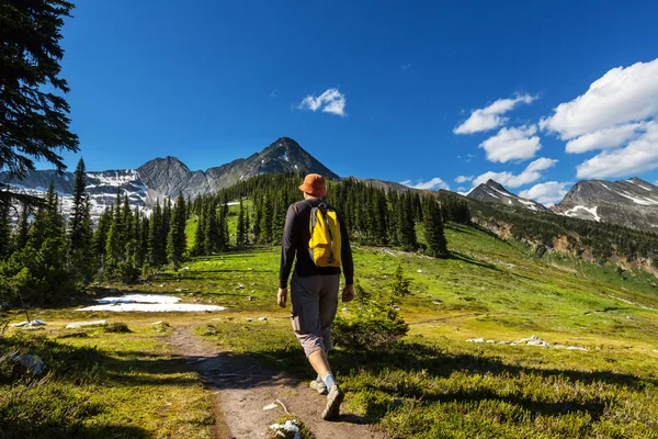 Hiking man in mountains — Stock Photo, Image