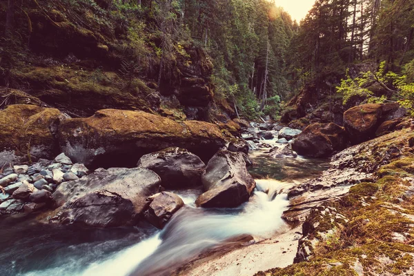 Vacker liten flod — Stockfoto