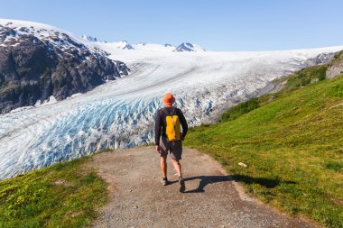 Hiker in Exit glacier clipart