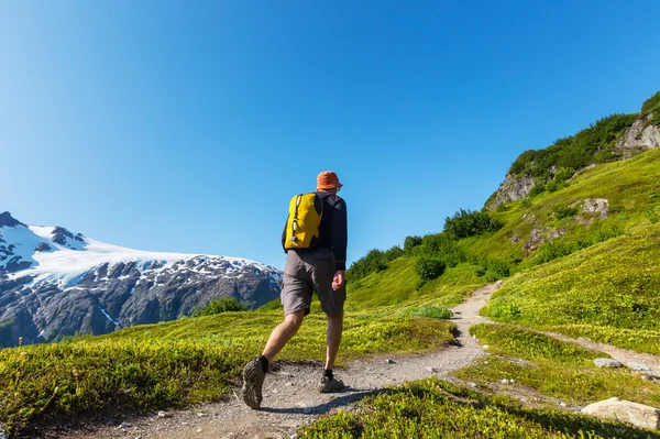 Vandrare i Exit glacier — Stockfoto