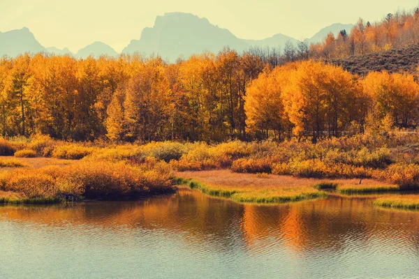 Nationaal park gletsjer — Stockfoto