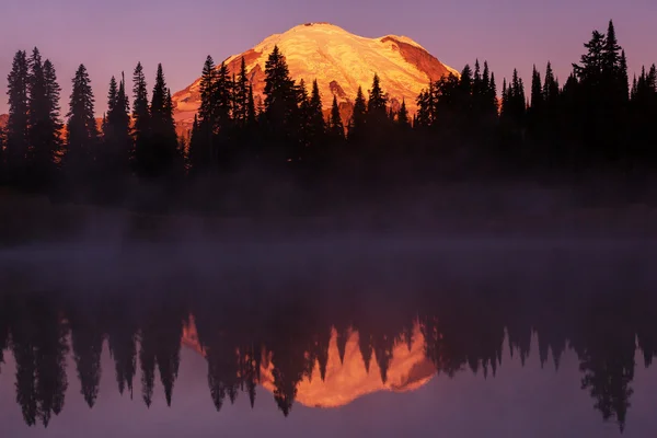 Mount Rainier Park — Stockfoto