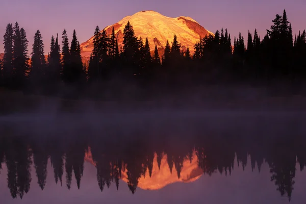 Mount rainier parku — Zdjęcie stockowe