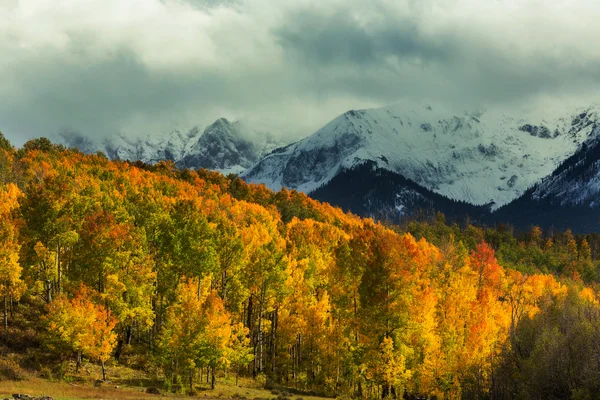 Autunno in Colorado montagne — Foto Stock