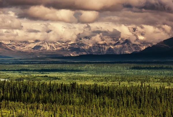 Prachtige bergen in Alaska — Stockfoto