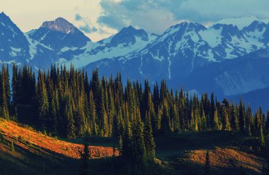 Washington'daki güzel dağlar