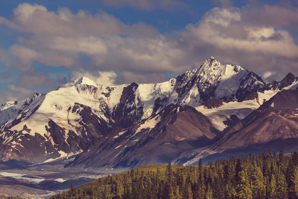 Βουνά στο τοπίο της Αλάσκας — Φωτογραφία Αρχείου