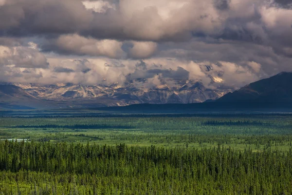 Belles montagnes à Washington — Photo