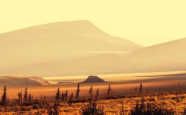 Bela paisagem Tundra — Fotografia de Stock