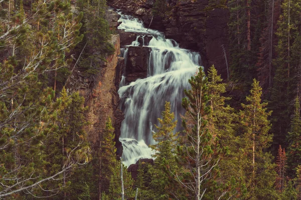 Cascata nelle montagne estive — Foto Stock