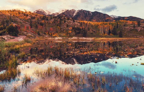 秋の美しい湖 — ストック写真
