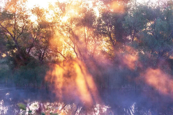 Summer season river  fog — Stock Photo, Image