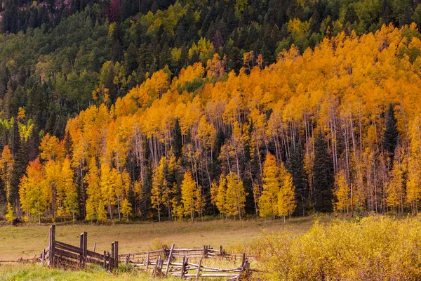 Podzimní hory scéna — Stock fotografie