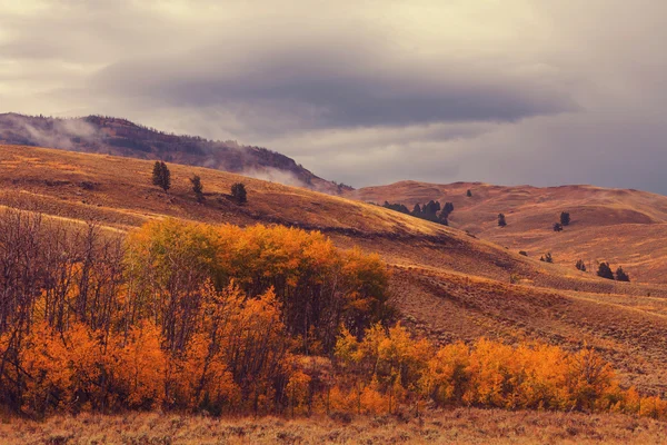 Podzimní období v horách — Stock fotografie