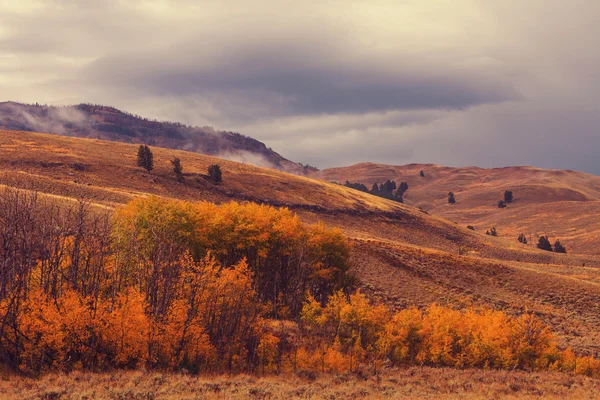 Temporada de otoño en las montañas — Foto de Stock