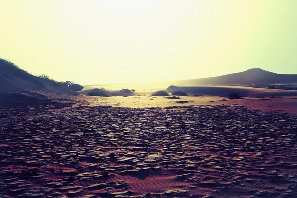 Drought land landscape — Stock Photo, Image