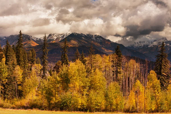 Otoño en montañas de Colorado — Foto de Stock