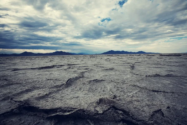 Deserto de sal no utão — Fotografia de Stock