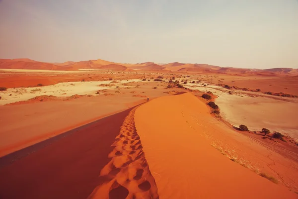 Vallée morte en Namibie — Photo