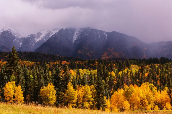 Scène d'automne fond — Photo