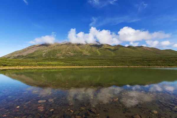 Lago de la serenidad en tundra — Foto de Stock