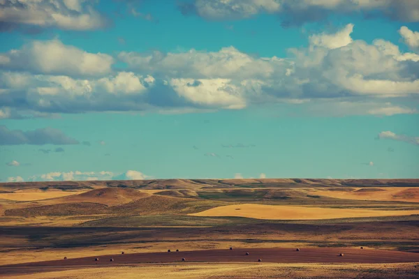 Otoño rural Campo — Foto de Stock