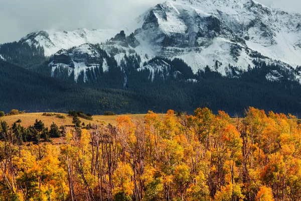 Outono nas montanhas do colorado — Fotografia de Stock