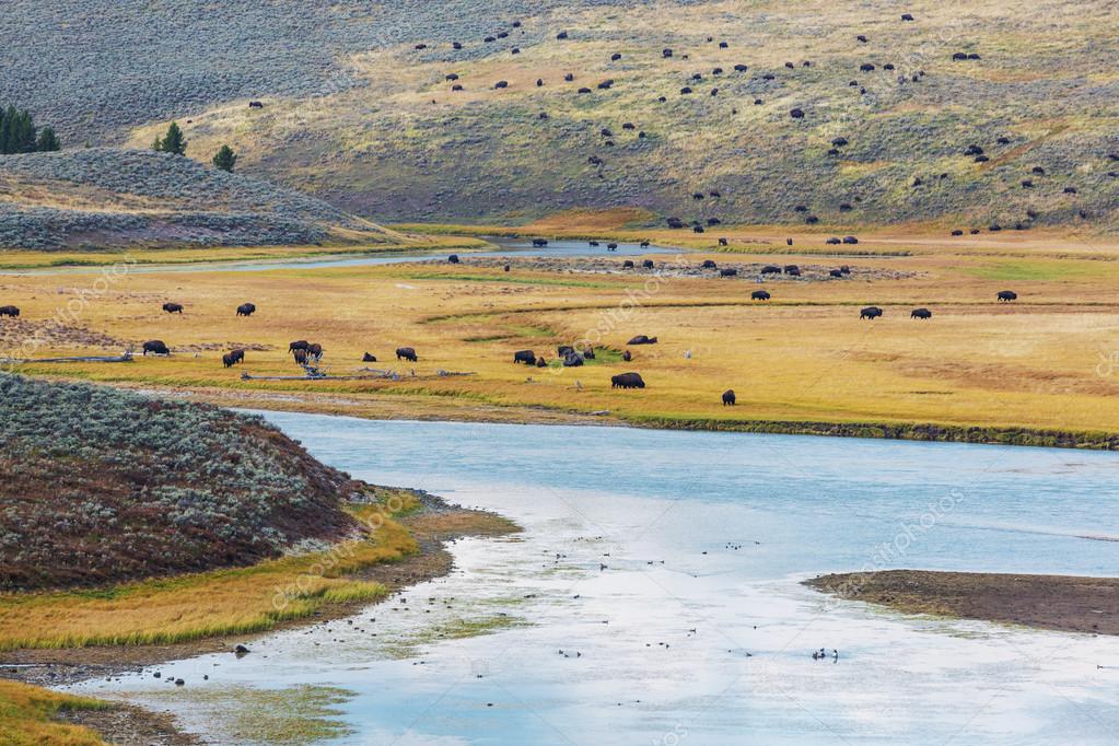 kamchatka