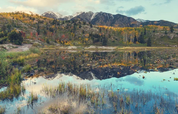 Piękne jezioro jesienią — Zdjęcie stockowe