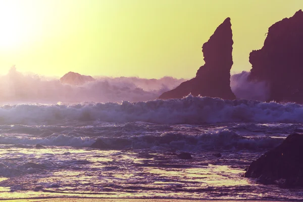 Olympic National Park — Stock Photo, Image