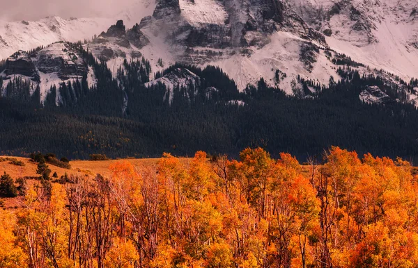コロラド州山の秋 — ストック写真