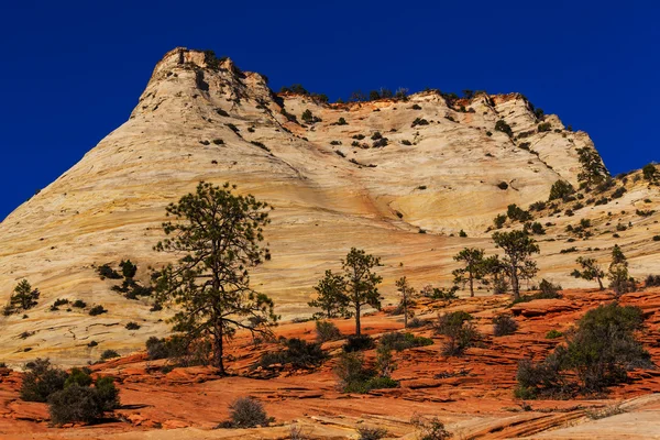 Parque nacional de Zion — Foto de Stock