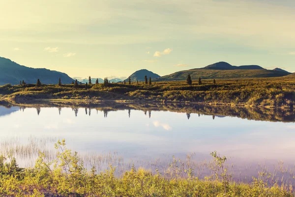 アラスカのツンドラ地帯の湖 — ストック写真