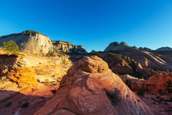 Parco nazionale di Zion — Foto Stock