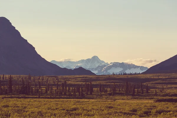 Bergen landschap in alaska — Stockfoto