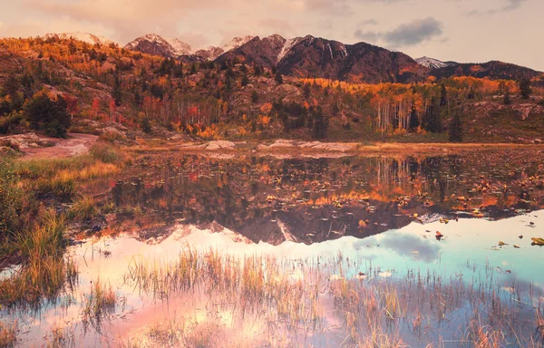 Lindo lago no outono — Fotografia de Stock