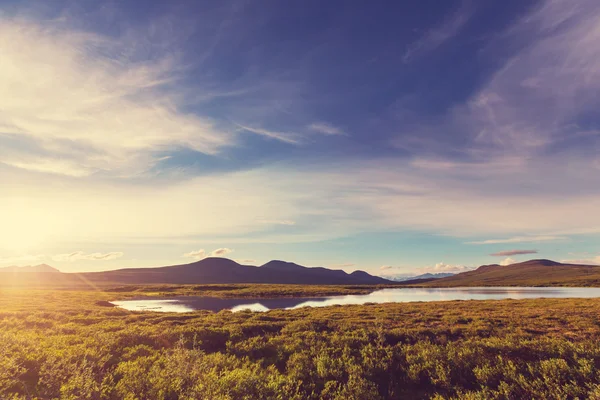 Landskap på Denali highway — Stockfoto