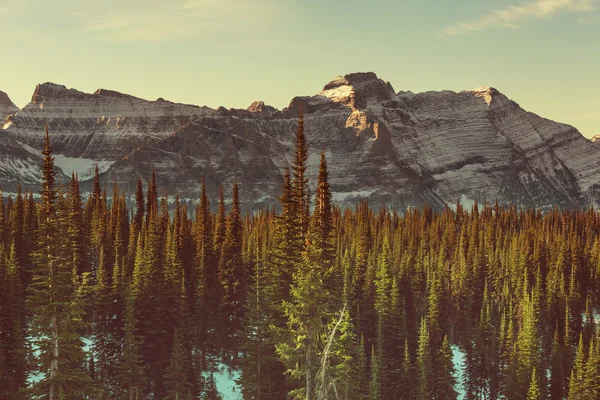 Lac Bowman dans le parc national des Glaciers — Photo