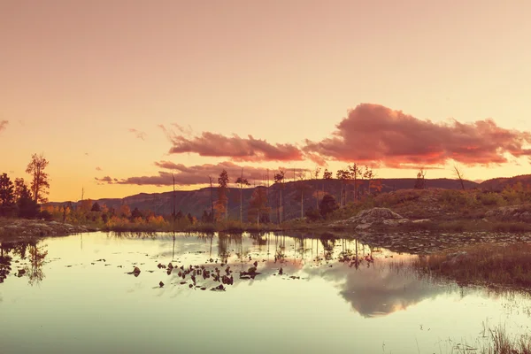 Красивое озеро осенью — стоковое фото
